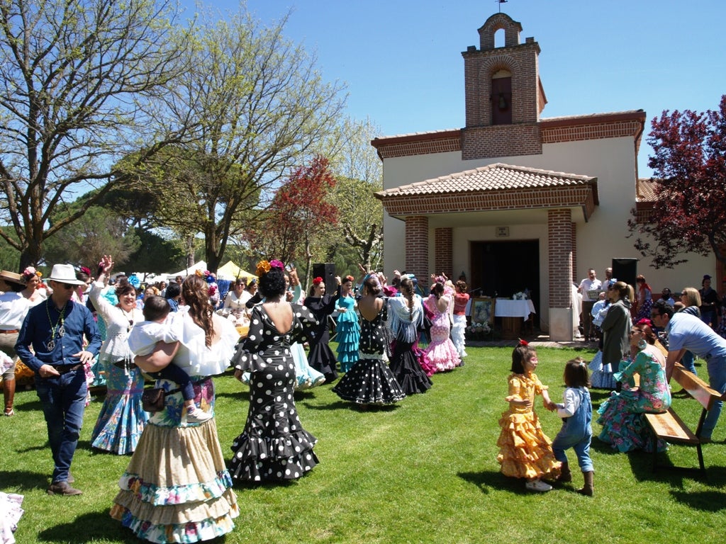 Fotos: XVI romería flamenca El Lerele en Pedrajas de San Esteban
