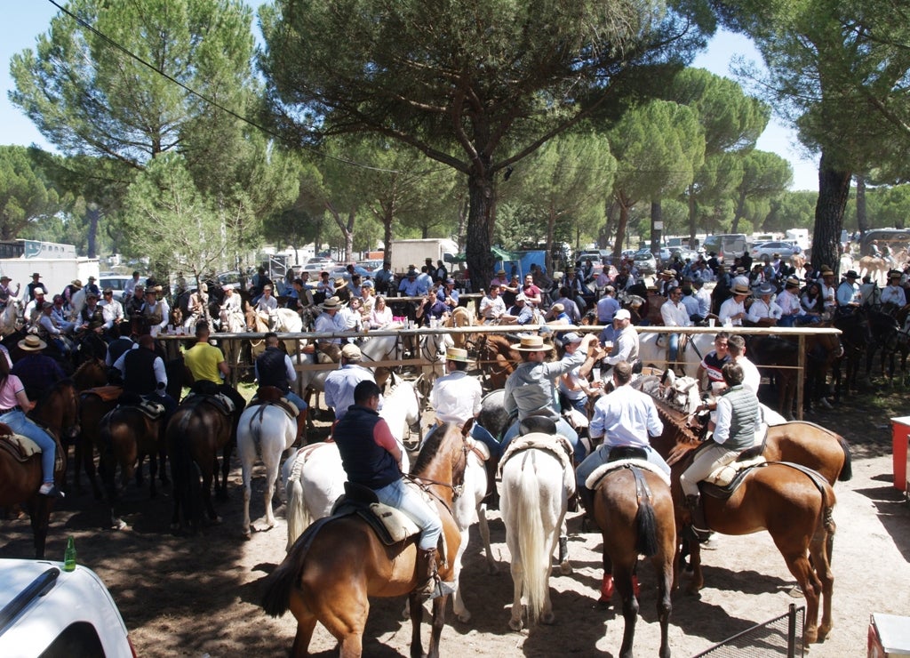 Fotos: XVI romería flamenca El Lerele en Pedrajas de San Esteban