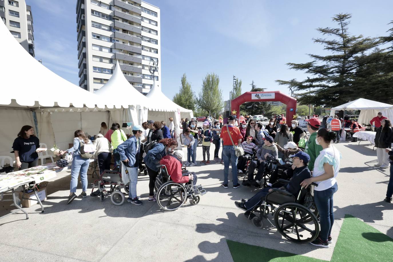 Fotos: 45 Marcha Asprona en Valladolid (9/9)