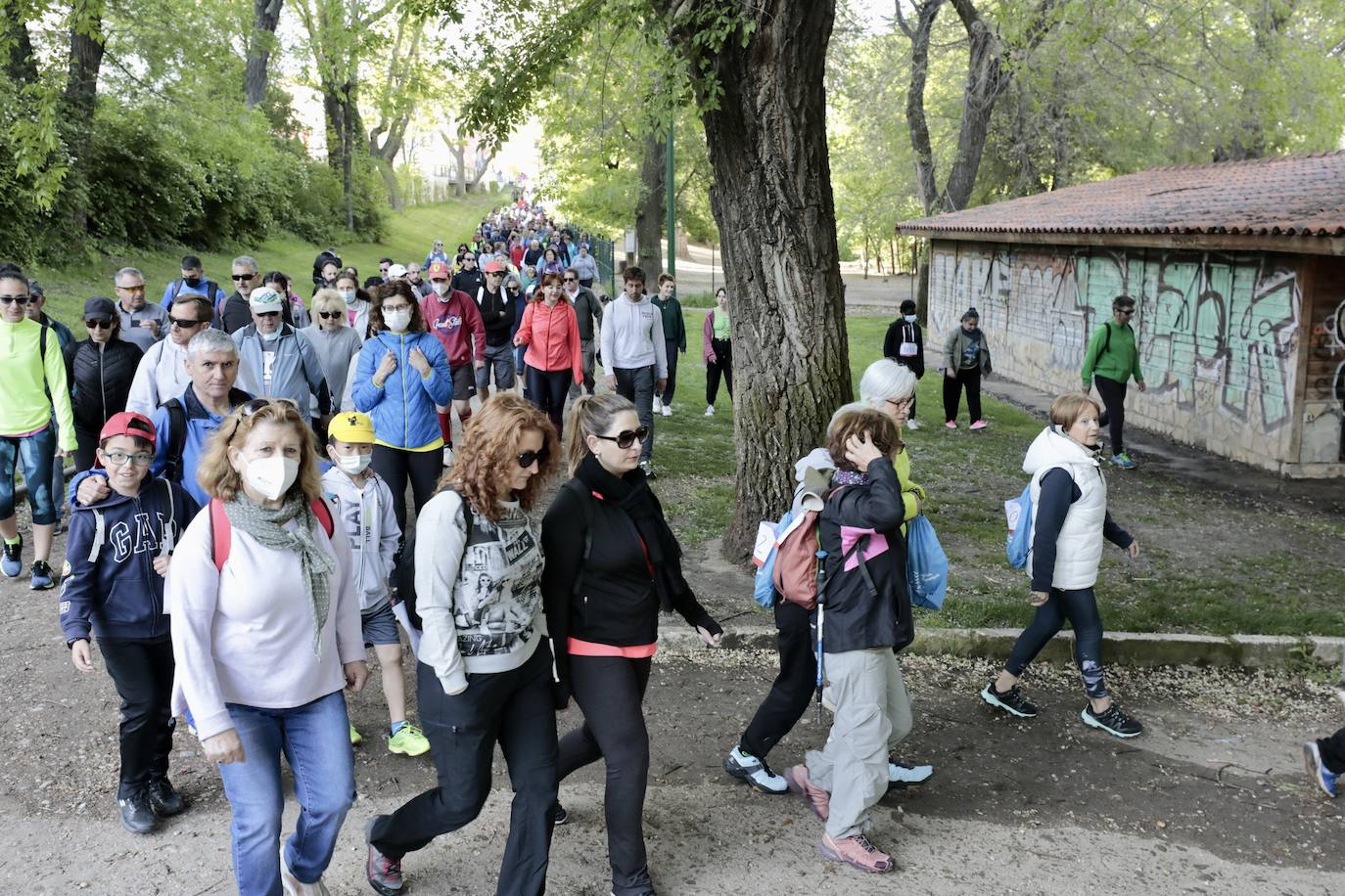 Fotos: 45 Marcha Asprona en Valladolid (9/9)