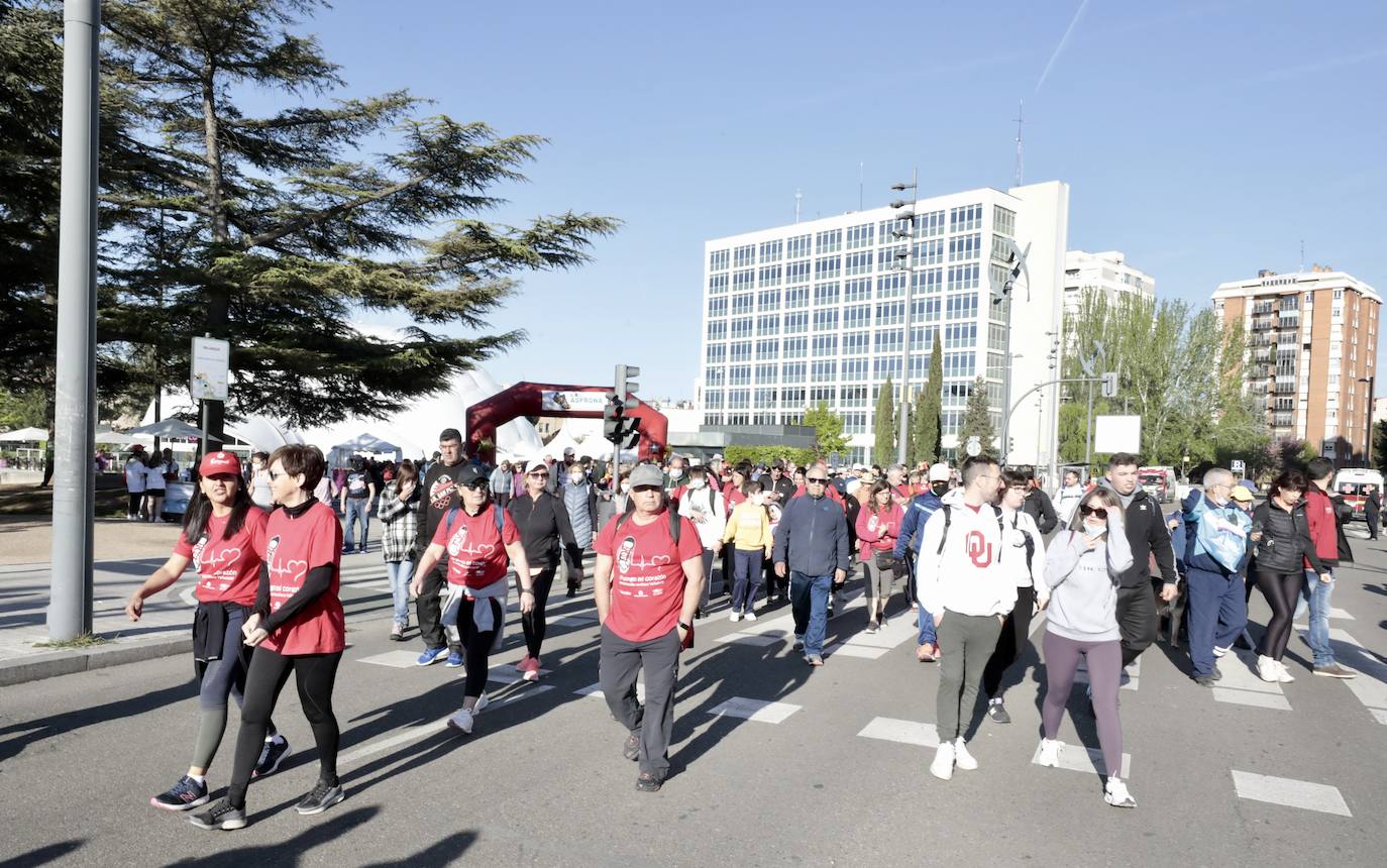 Fotos: 45 Marcha Asprona en Valladolid (7/9)