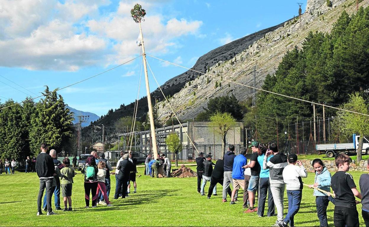 Los voluntarios izan el pino, ayer en Velilla del Río Carrión.
