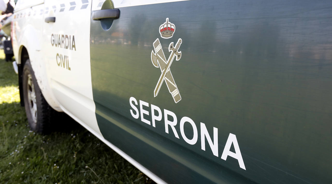 Los alumnos disfrutan con el material y los vehículos que utiliza la Guardia Civil en su cometido