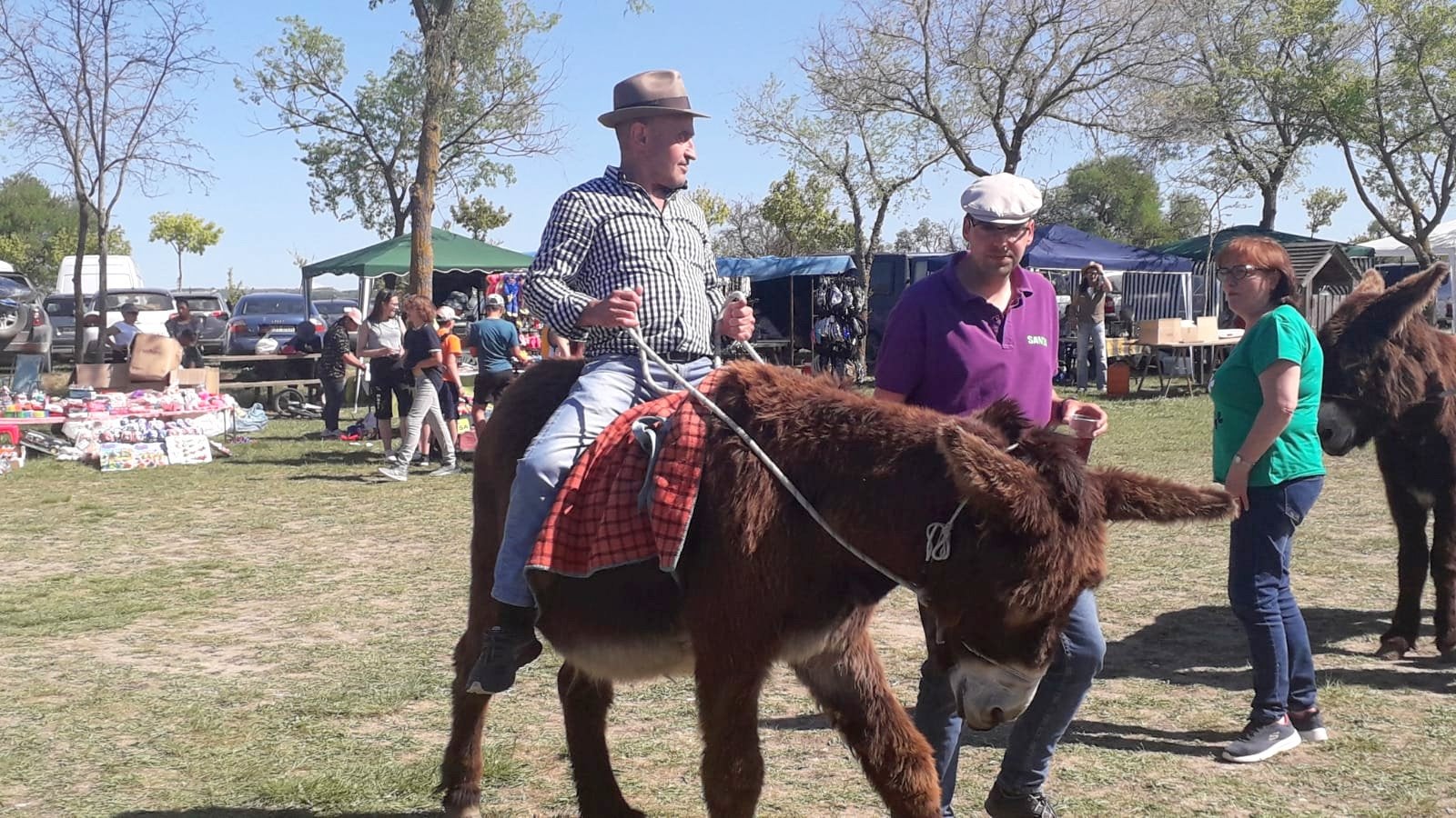 Fotos: Baltanás celebra sus Fiestas Patronales en honor a San Gregorio