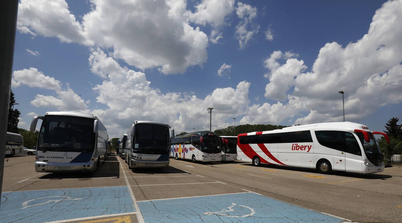 Fotos: La fiesta de la ITA se despide con récord de participación