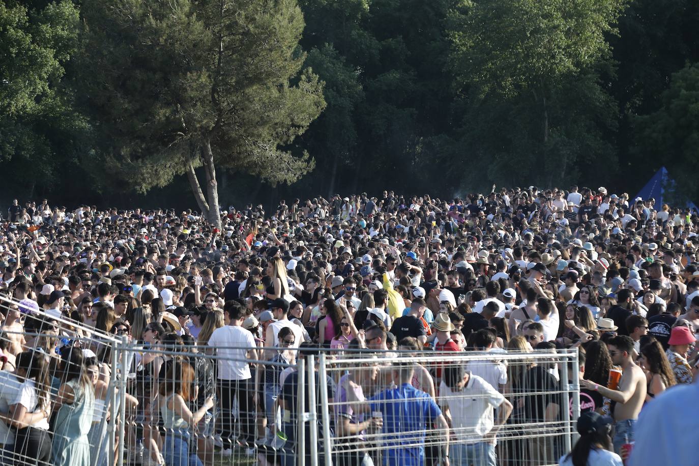 Fotos: La fiesta de la ITA se despide con récord de participación