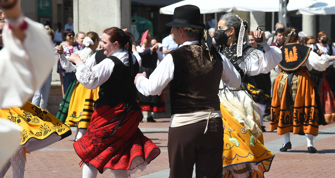 Fotos: Bailes regionales en la Plaza Mayor de Valladolid