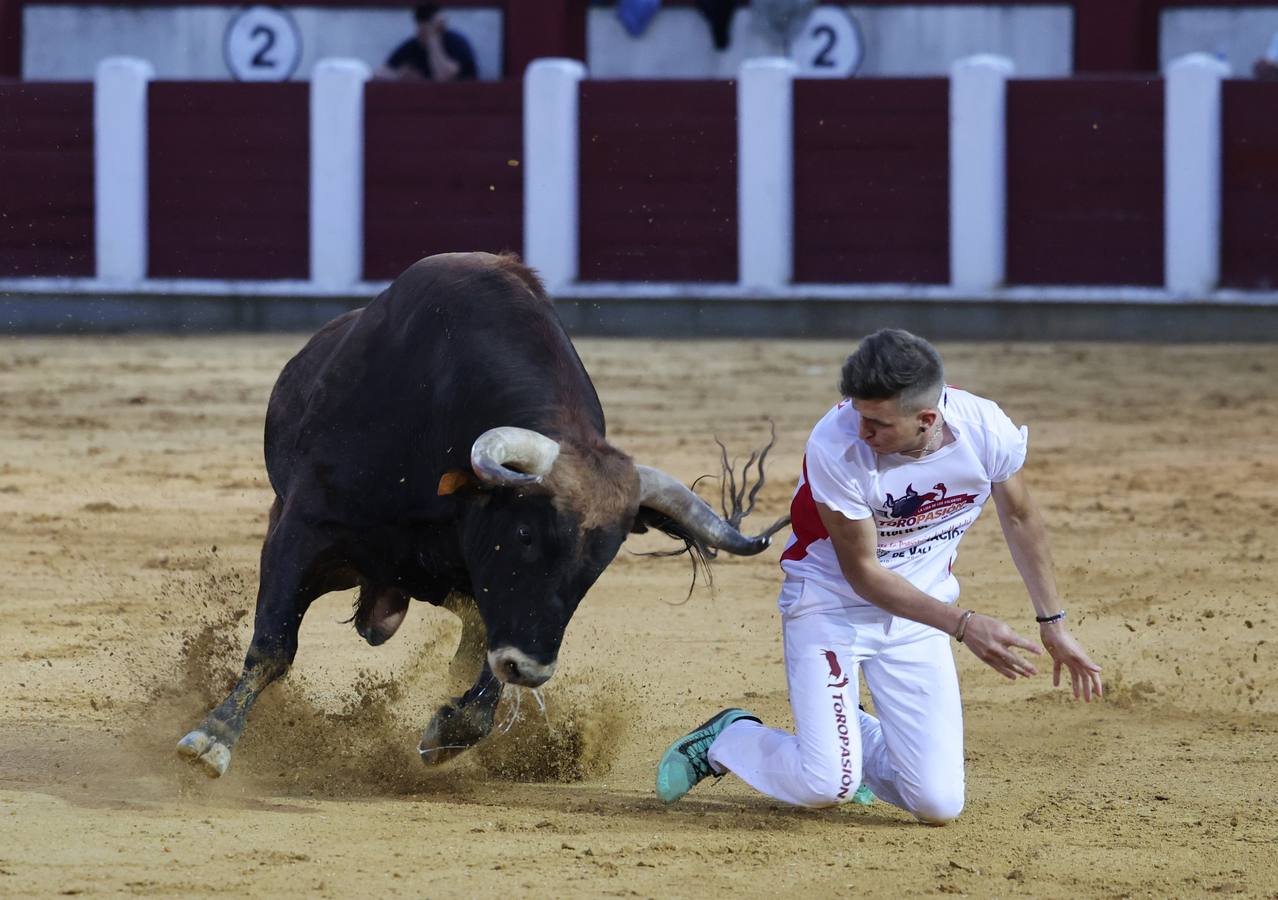 Fotos: Los cortes vuelven a la plaza de toros de Valladolid (1/2)