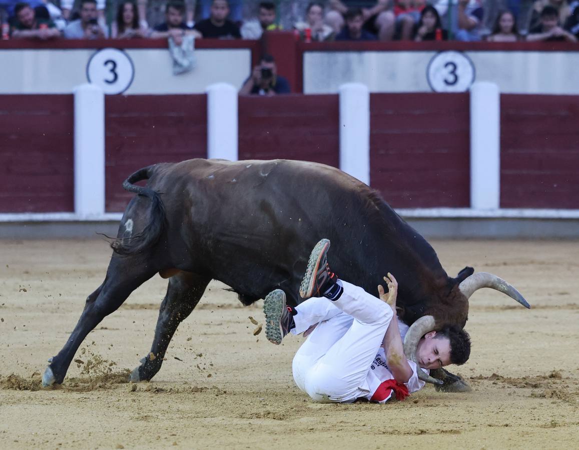 Fotos: Los cortes vuelven a la plaza de toros de Valladolid (1/2)