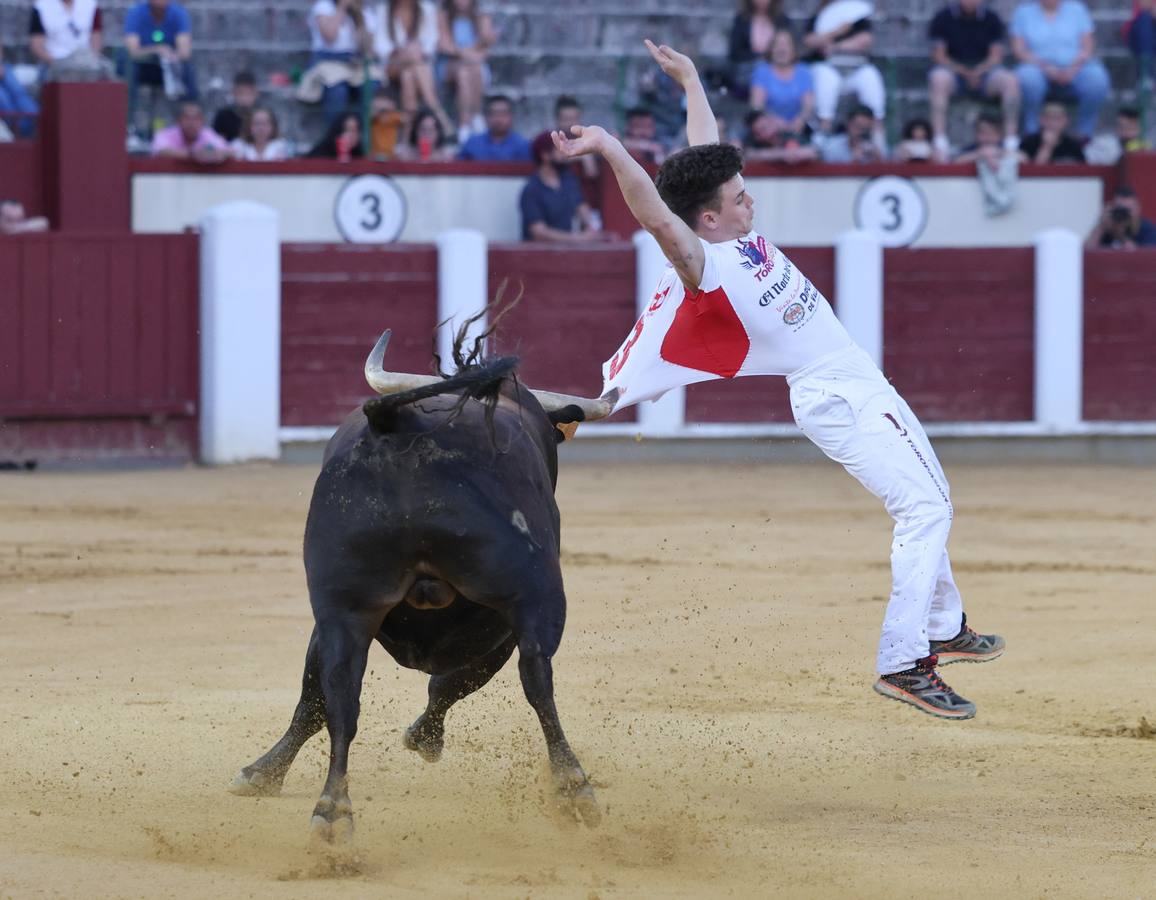 Fotos: Los cortes vuelven a la plaza de toros de Valladolid (1/2)