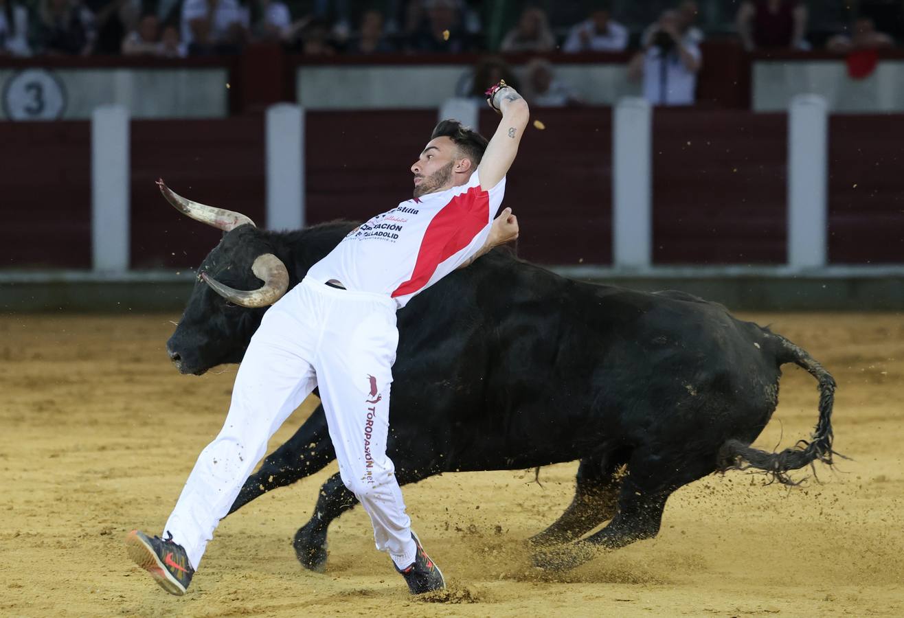 Fotos: Los cortes vuelven a la plaza de toros de Valladolid (1/2)
