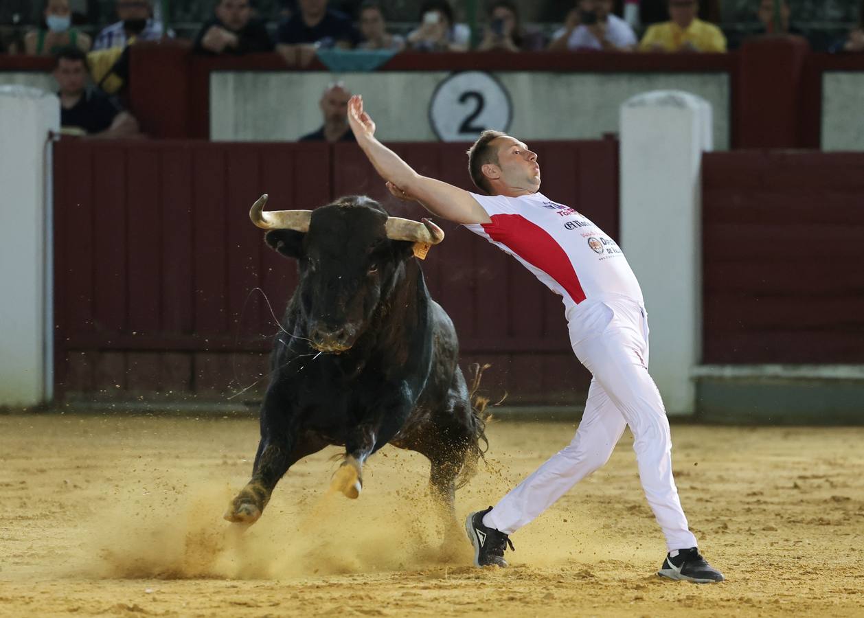 Fotos: Los cortes vuelven a la plaza de toros de Valladolid (2/2)