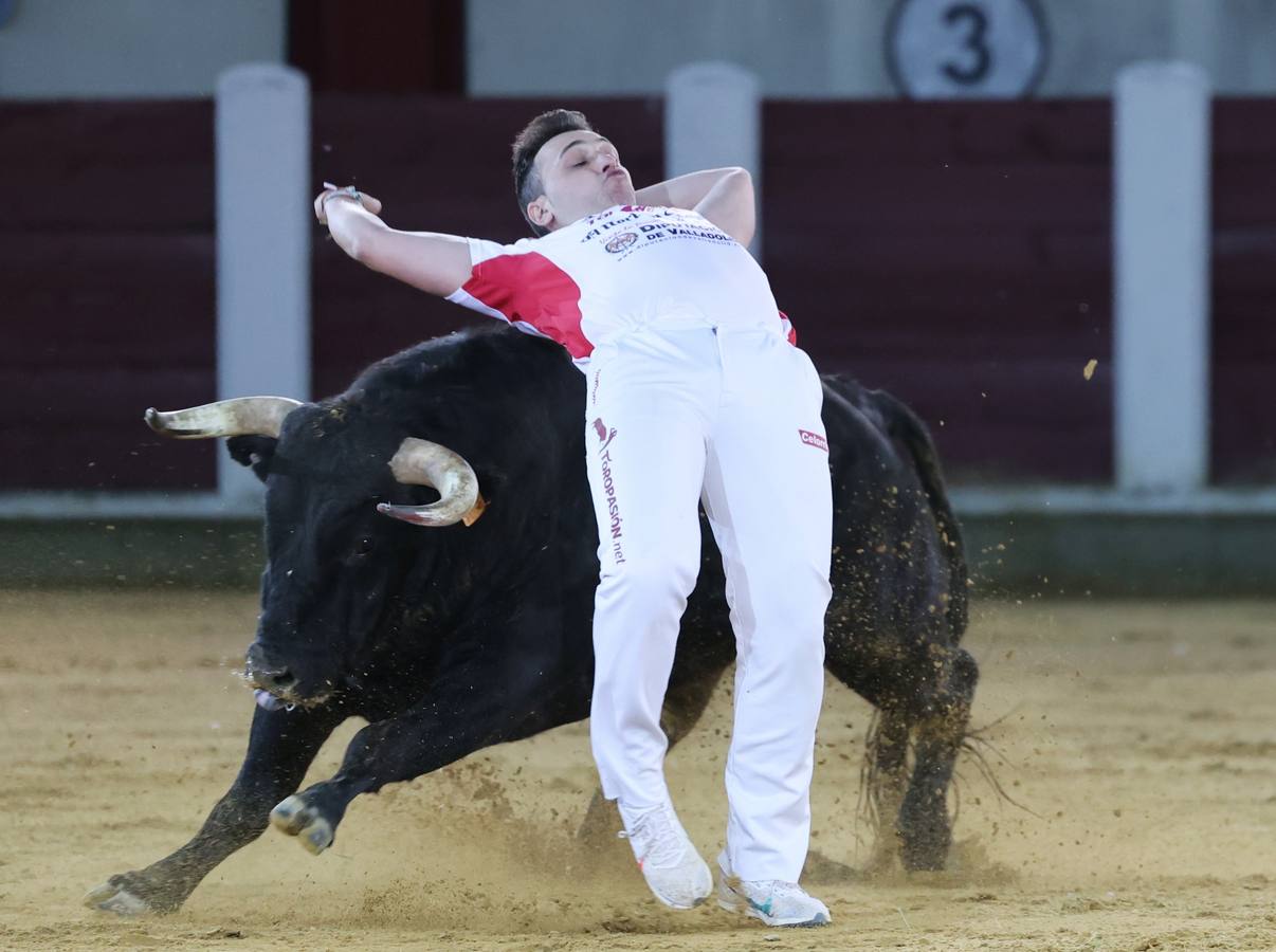 Fotos: Los cortes vuelven a la plaza de toros de Valladolid (2/2)