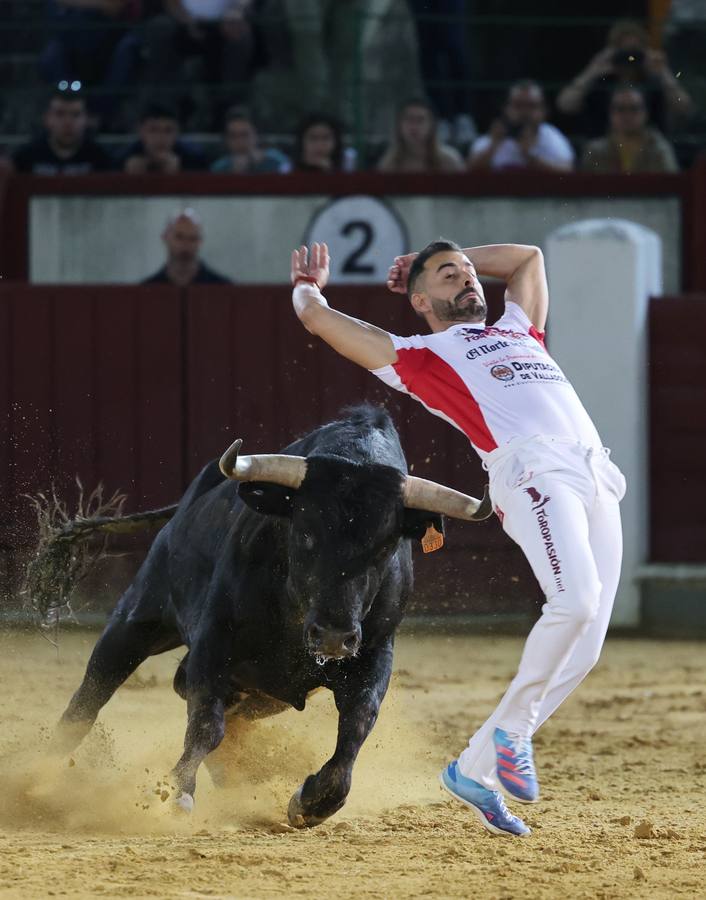 Fotos: Los cortes vuelven a la plaza de toros de Valladolid (2/2)