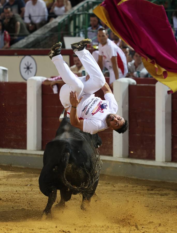 Fotos: Los cortes vuelven a la plaza de toros de Valladolid (2/2)