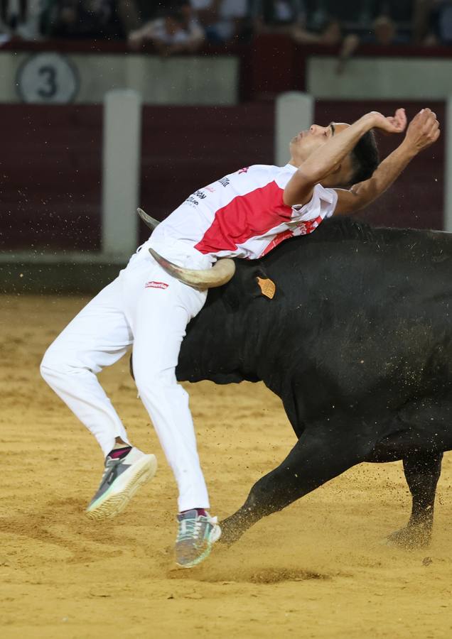 Fotos: Los cortes vuelven a la plaza de toros de Valladolid (2/2)