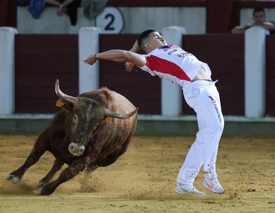 Fotos: Los cortes vuelven a la plaza de toros de Valladolid (2/2)