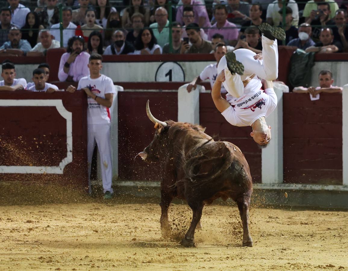 Fotos: Los cortes vuelven a la plaza de toros de Valladolid (2/2)