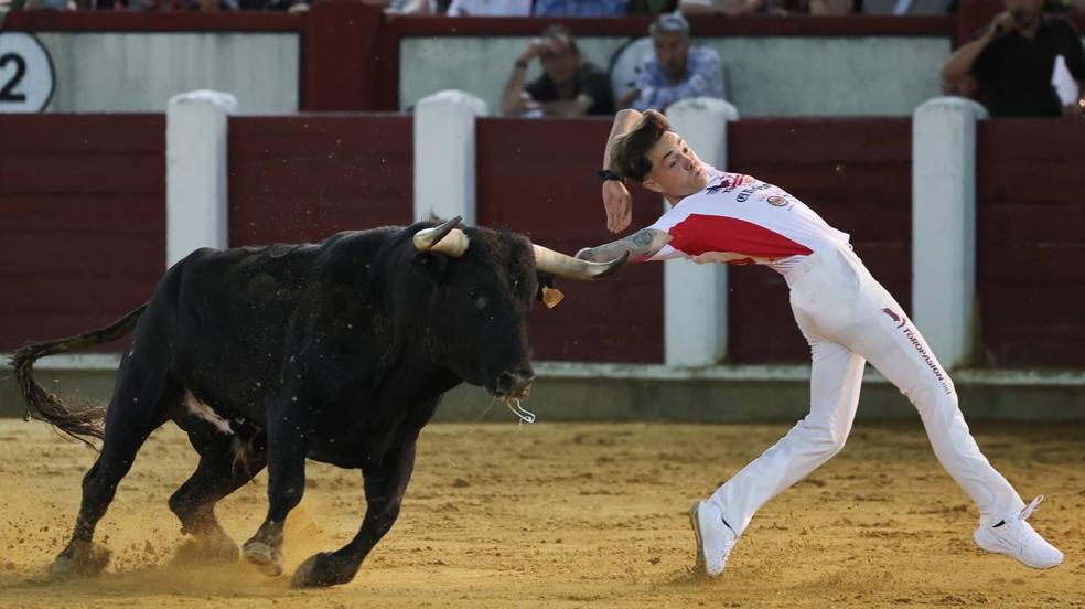 Los cortes vuelven a la plaza de toros de Valladolid (2/2)