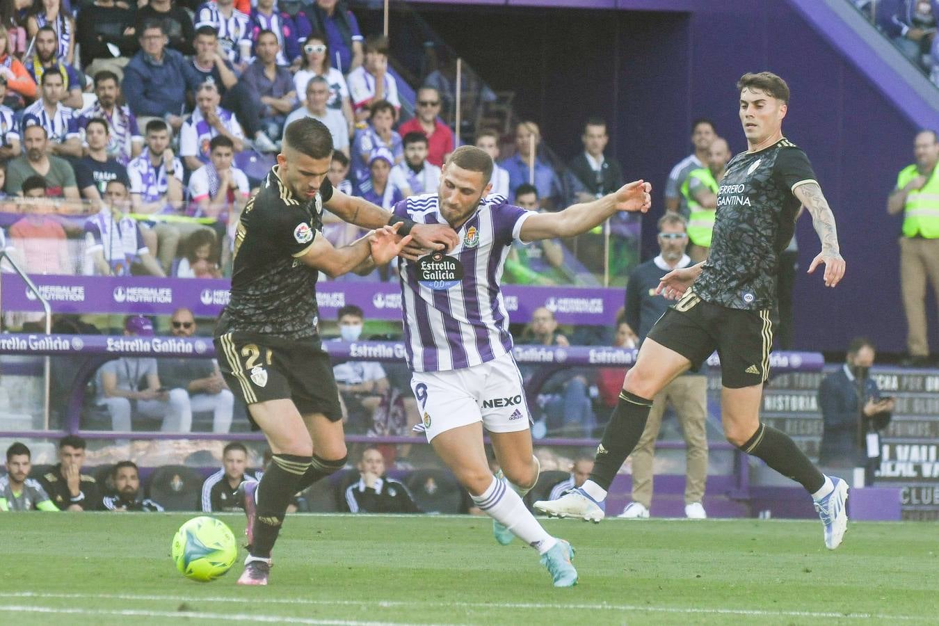 Fotos: Victoria del Real Valladolid ante la Ponferradina (2/2)