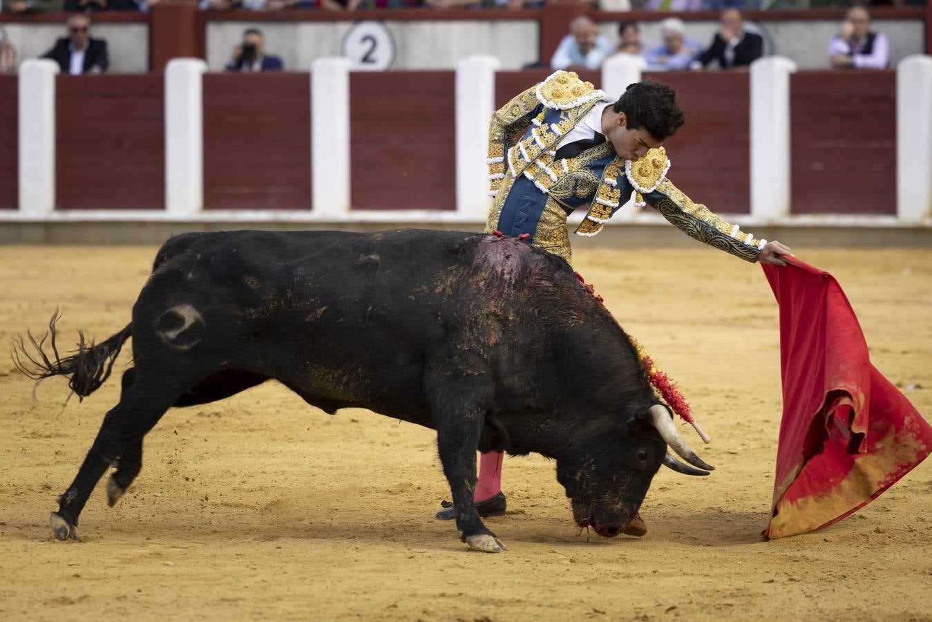 Fotos: Roca Rey y Tomás Rufo abren la puerta grande en Valladolid (1/3)