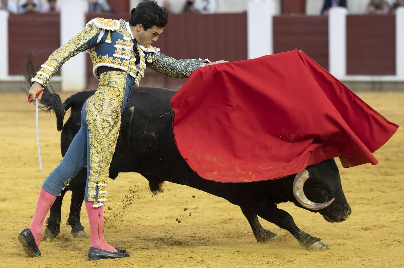 Fotos: Roca Rey y Tomás Rufo abren la puerta grande en Valladolid (2/3)