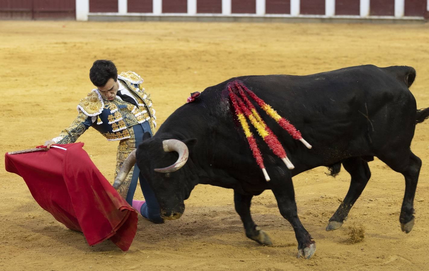 Fotos: Roca Rey y Tomás Rufo abren la puerta grande en Valladolid (2/3)