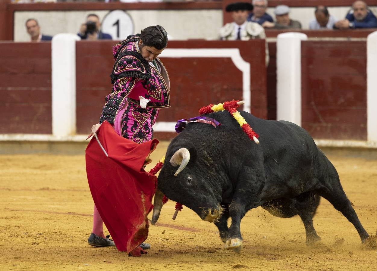 Fotos: Roca Rey y Tomás Rufo abren la puerta grande en Valladolid (2/3)