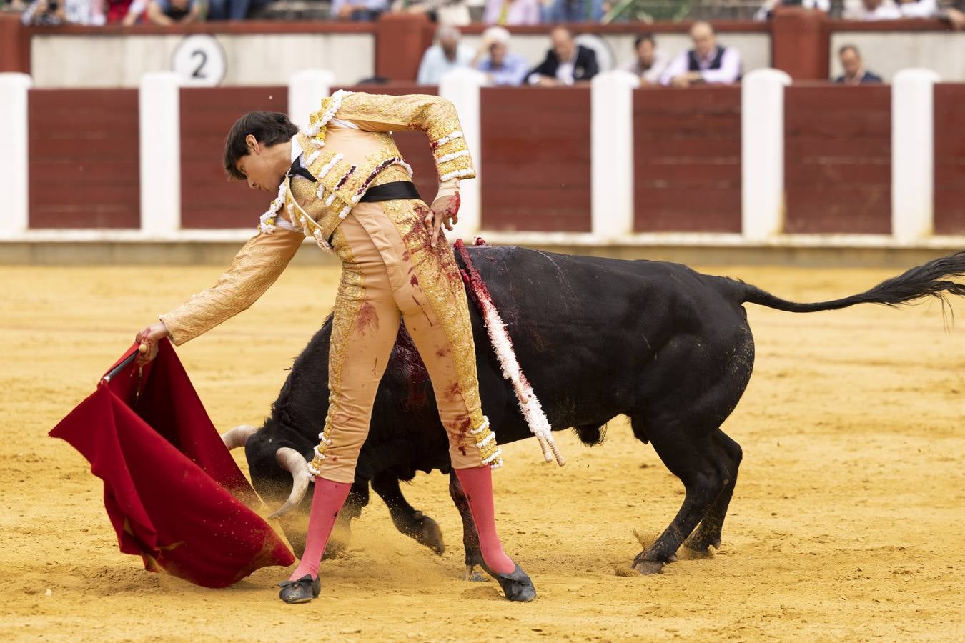 Fotos: Roca Rey y Tomás Rufo abren la puerta grande en Valladolid (3/3)