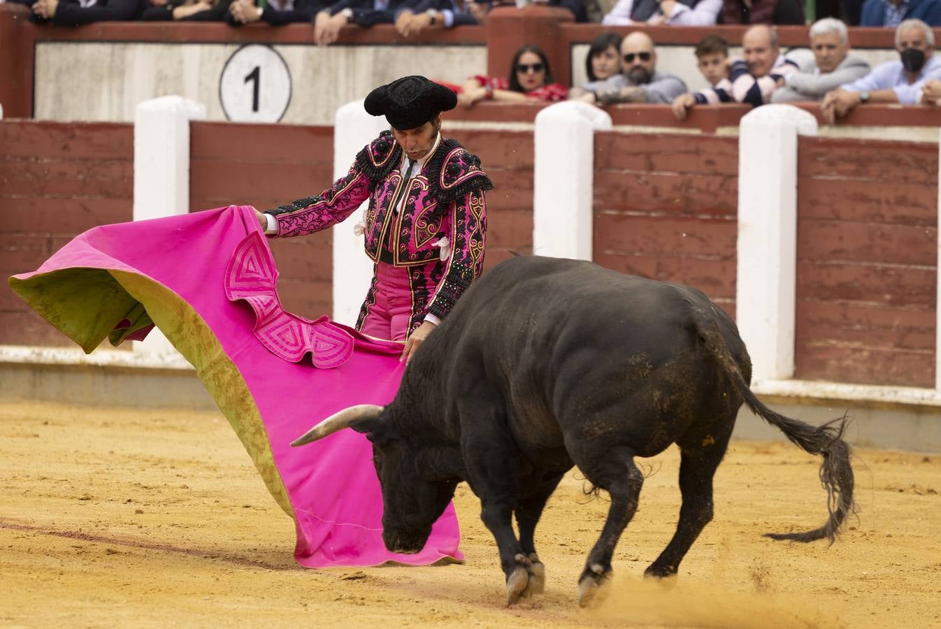 Fotos: Roca Rey y Tomás Rufo abren la puerta grande en Valladolid (3/3)
