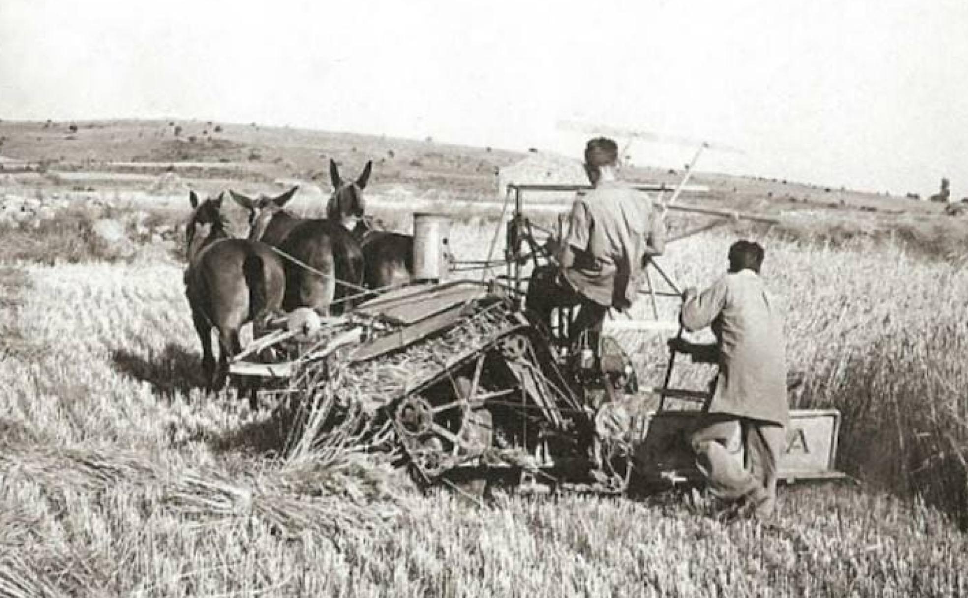 Valdegeña: la inspiración de Avelino Hernández