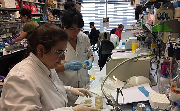 Proceso de muestras en CRG.