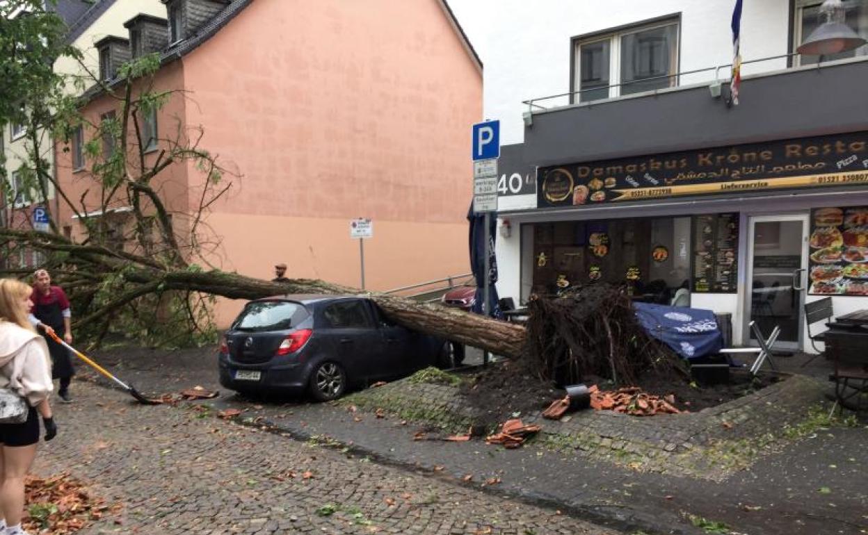 Un árbol caído en un automóvil después del paso del tornado.