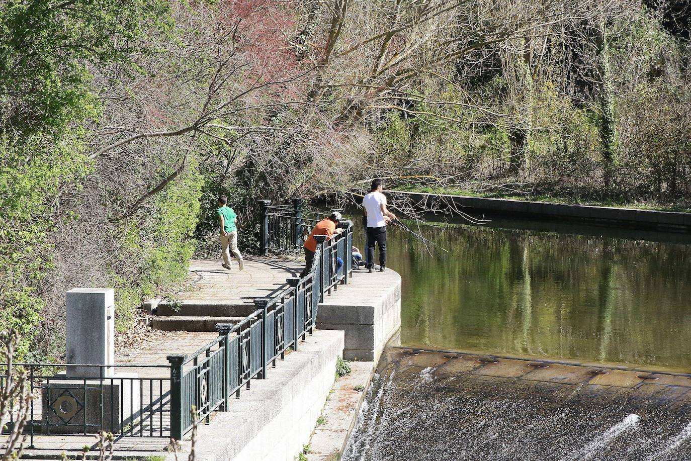 Pesca en el río Eresma a su paso por la Alameda del Parral en la ciudad.