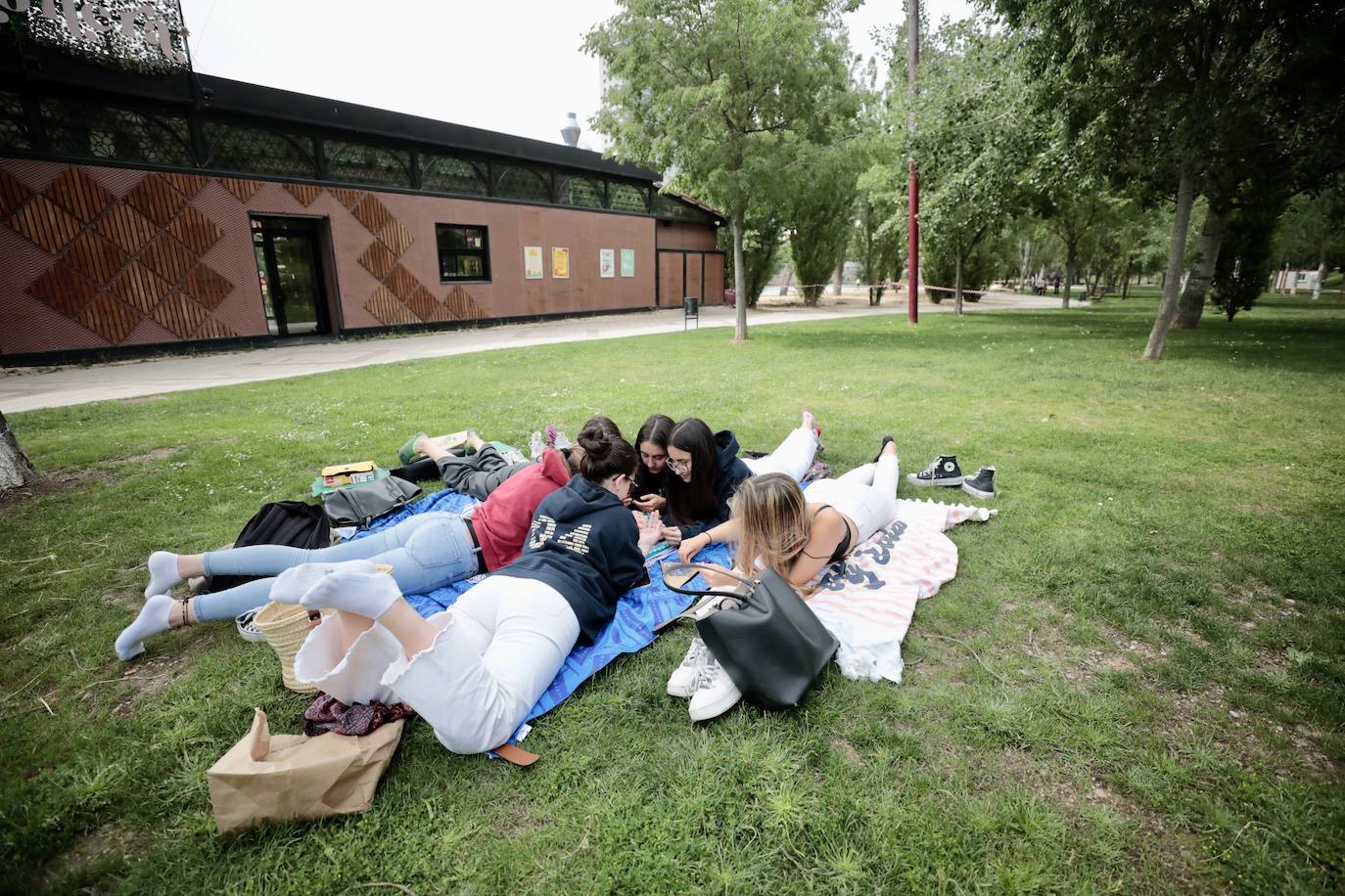 Fotos: Renovación de la arena de la playa de las Moreras, en Valladolid