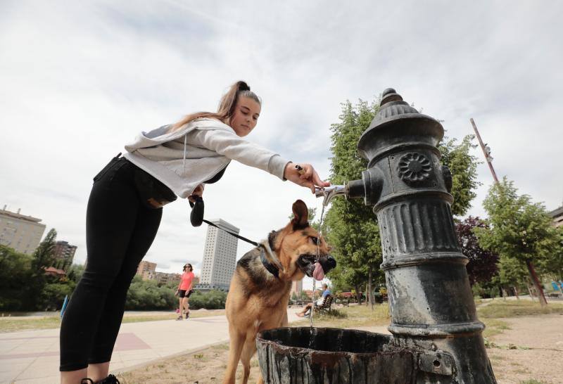 Fotos: Renovación de la arena de la playa de las Moreras, en Valladolid