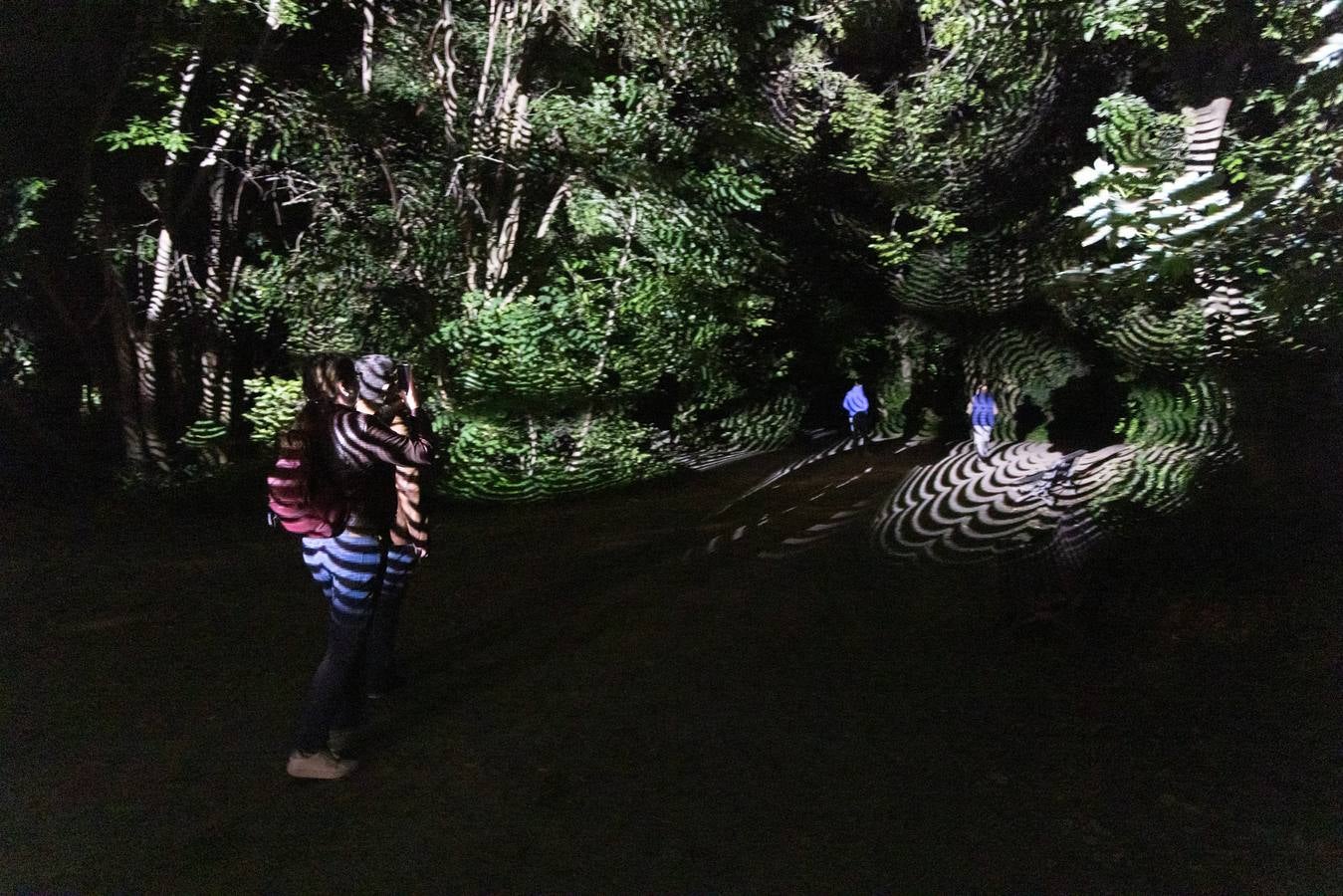 Fotos: Jornada del jueves por la tarde en el Festival de Teatro de Calle de Valladolid (2/2)