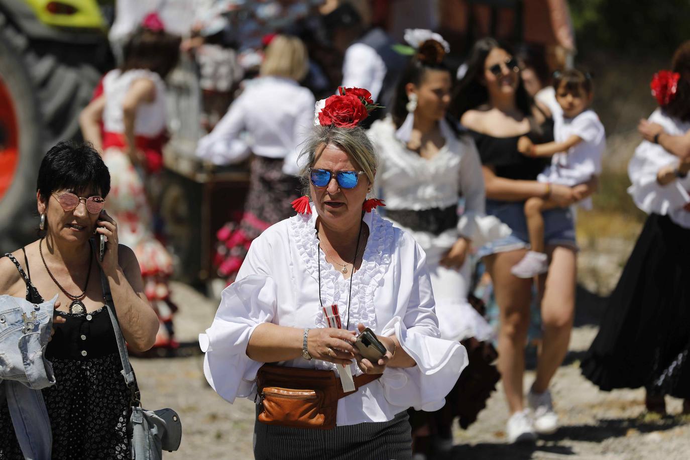 Fotos: Fiesta del caballo en Langayo, Valladolid (2/2)