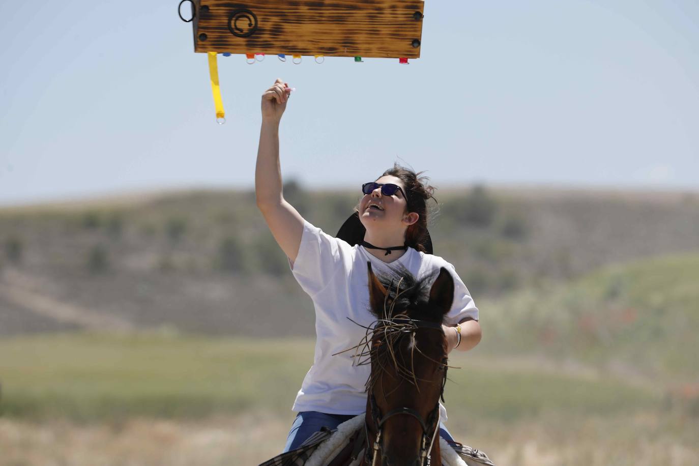 Fotos: Fiesta del caballo en Langayo, Valladolid (2/2)