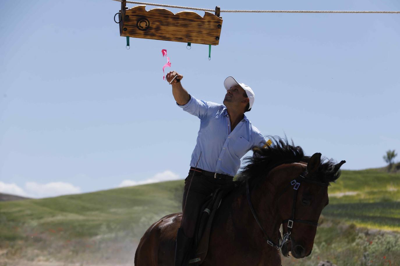 Fotos: Fiesta del caballo en Langayo, Valladolid (2/2)