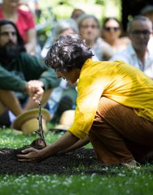 Imagen secundaria 2 - Tres momentos de '#Sueña', 'Peix' y 'Conversación con un árbol', este sábado en el TAC. 