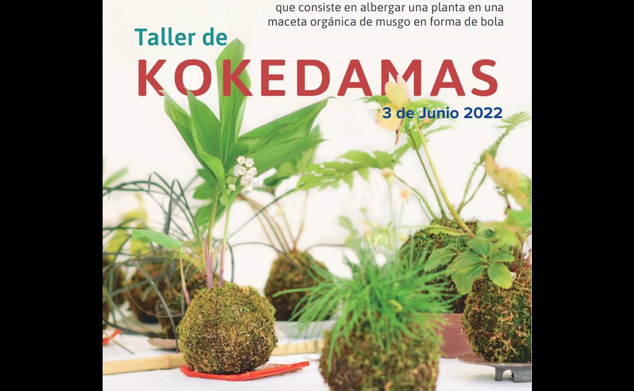 El proyecto LIFE Vía de la Plata acerca a Salamanca la técnica japonesa vegetal de las Kokedamas
