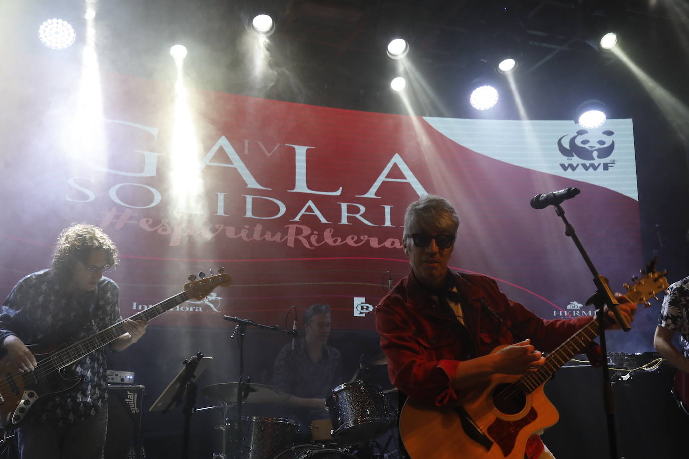 Fotos: Ribera del Duero celebra su Gala Solidaria a favor de WWF