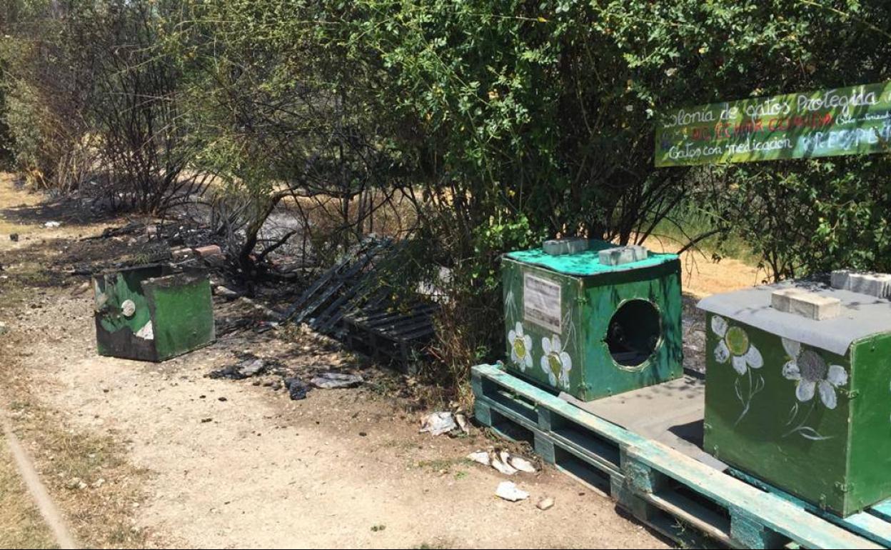 Estado en el que ha quedado la colonia gestionada por Gataforma tras el incendio. 