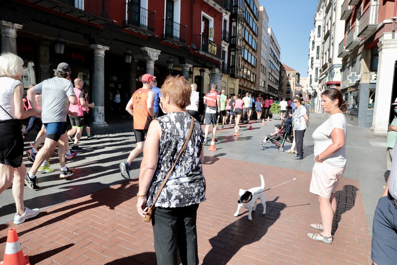 Fotos: XXXIX Trotada Popular de Valladolid (2/4)