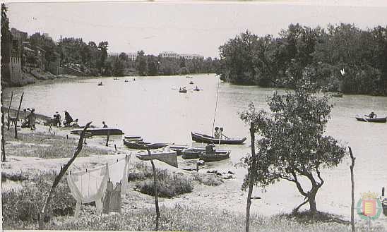 Fotos: El río Pisuerga, testigo de siglos de historia