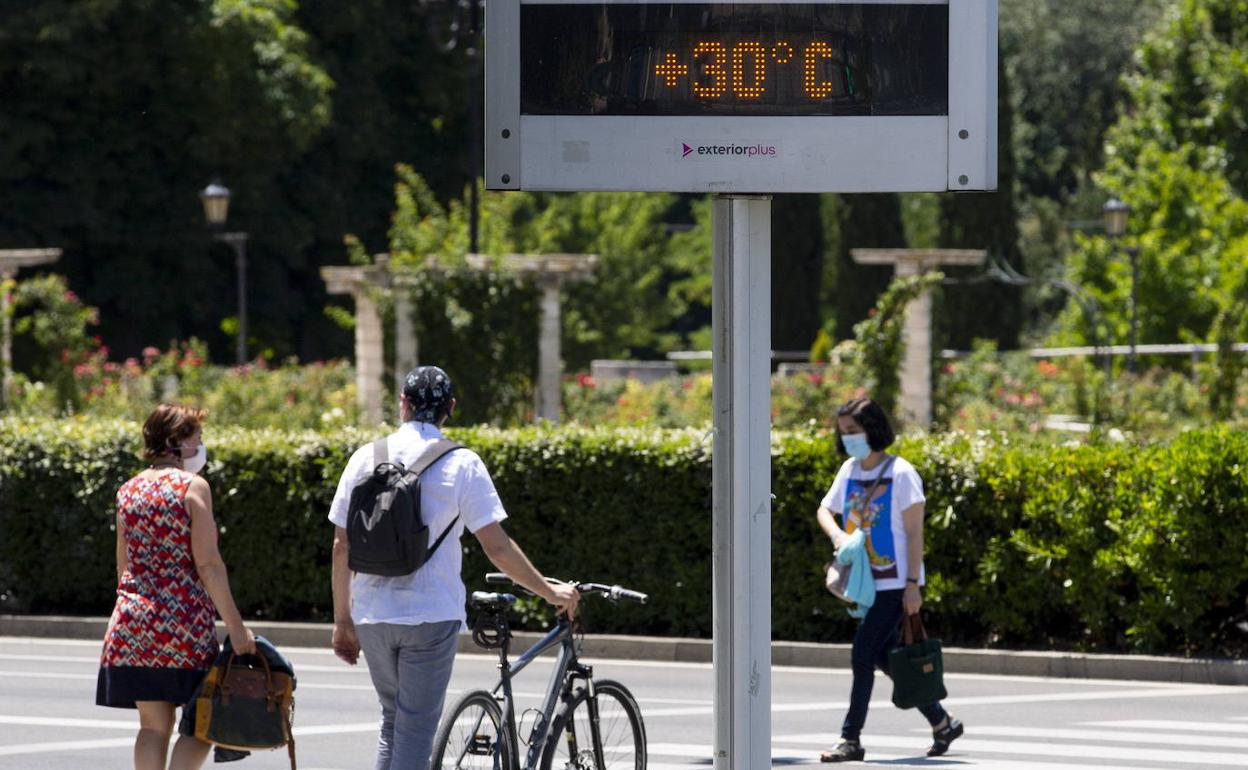 Paseo de Zorrilla de Valladolid, en julio del año pasado. 