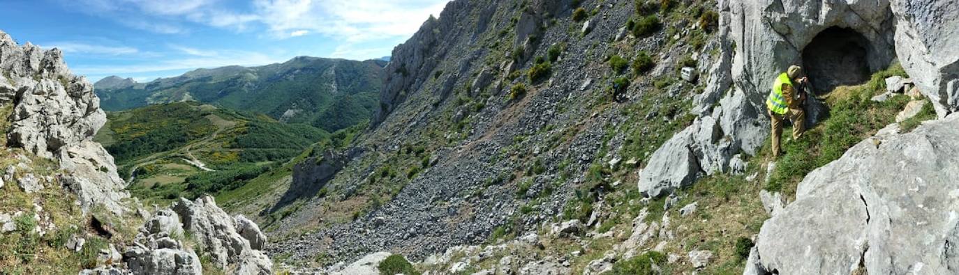 Fotos: Así cuidan a la osa herida en el ataque en la cueva de la Montaña Palentina