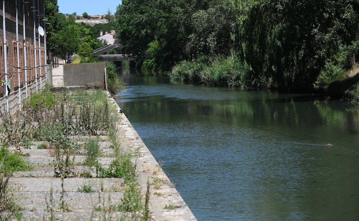 Márgenes del Canal de Castilla en el barrio de La Victoria, en Valladolid, donde tendrá lugar la intervención. 