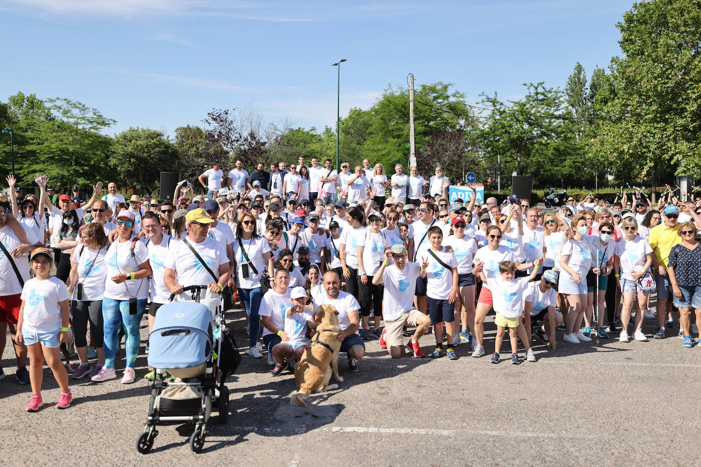 Fotos: La Marcha de la Diabetes tiñe de azul las calles de Valladolid